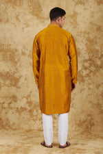 Thumbnail for Bluesaanchi Men's Handloom Embroidered Bronze Kurta Set - Distacart