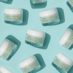 Thumbnail for download - 2025-01-08T173322.573