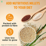 Thumbnail for Tata Soulfull Millet Granola (Honey, Fruits, Nuts & Seeds) - Distacart