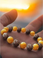 Thumbnail for NVR3115 (2) (1)