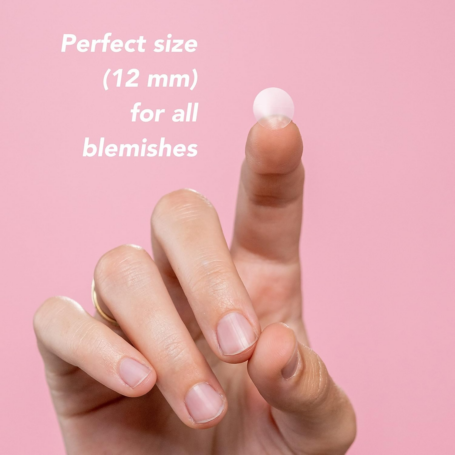 download - 2025-01-08T151627.528