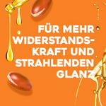 Thumbnail for download - 2025-01-27T160850.824