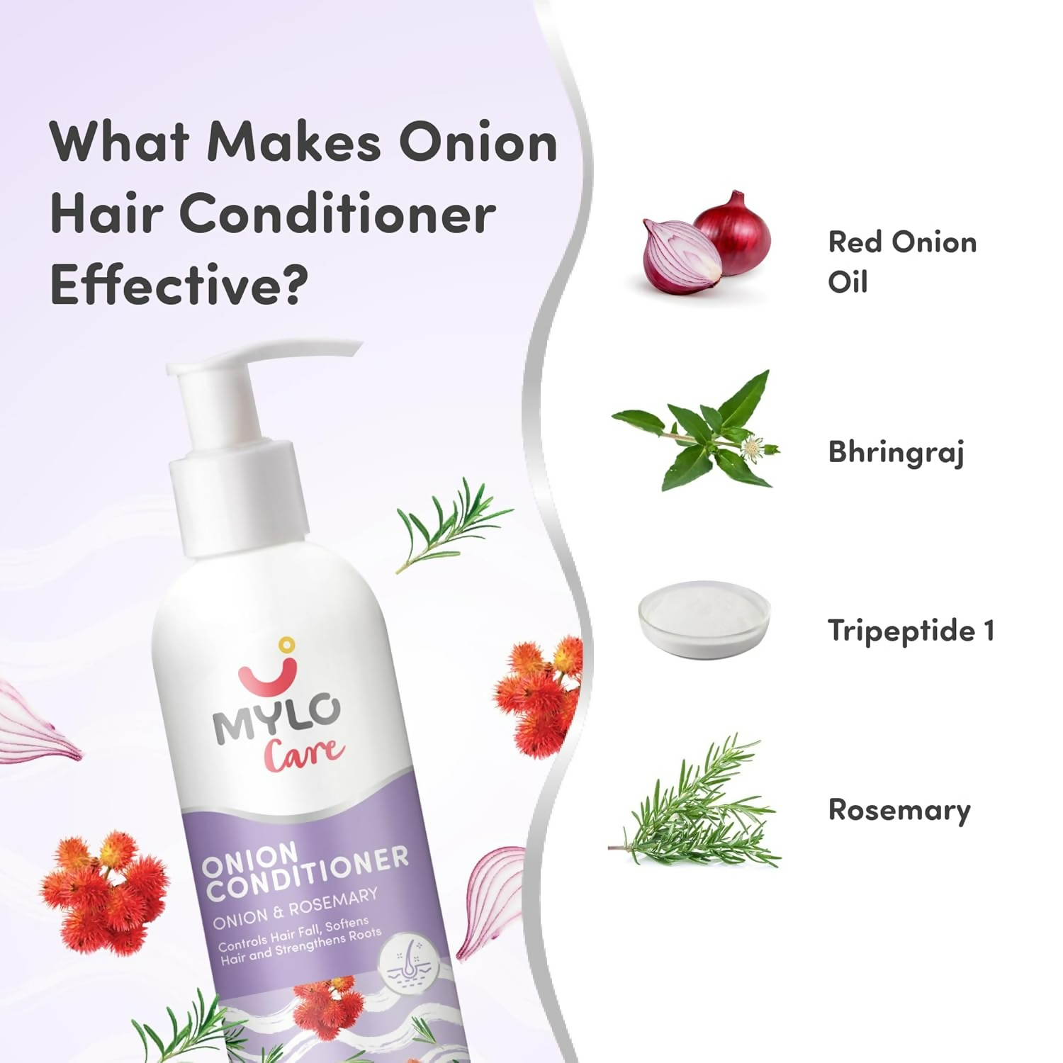 download - 2025-01-24T161208.810