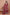 Prazu Fashion Gajri Red Georgette Embroidered Sharara Suit