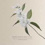 Thumbnail for download - 2024-10-05T190340.236