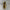 Brass Ghot/ Holy Water Pot - Distacart