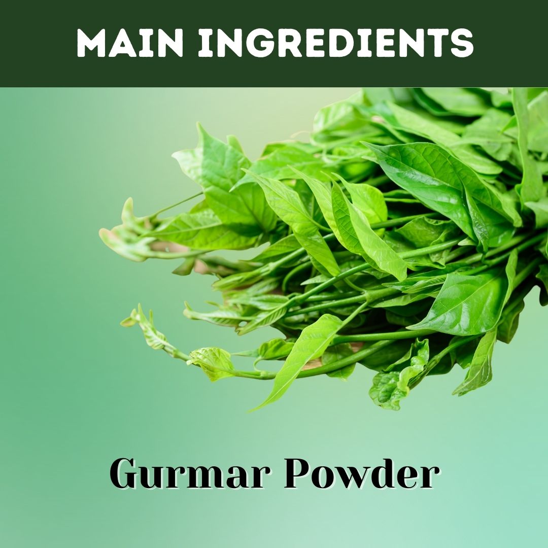 Herbal Hills Gurmar Powder - Distacart