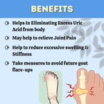 Thumbnail for Herbal Hills Ayurveda Gautyhills Tablets - Distacart
