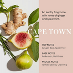 Thumbnail for download - 2025-01-20T111203.460