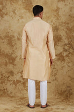 Thumbnail for Bluesaanchi Men's Chandery Silk Light Khaki Embroidered Kurta Set - Distacart