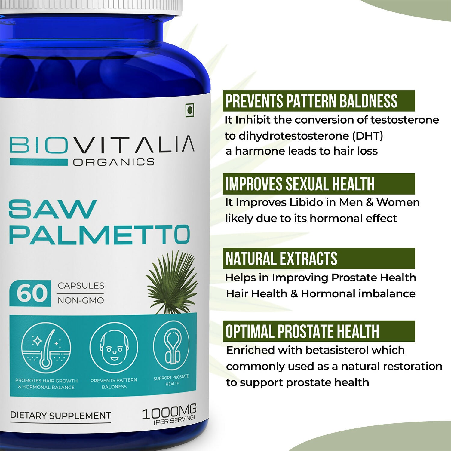 Saw Palmetto_4