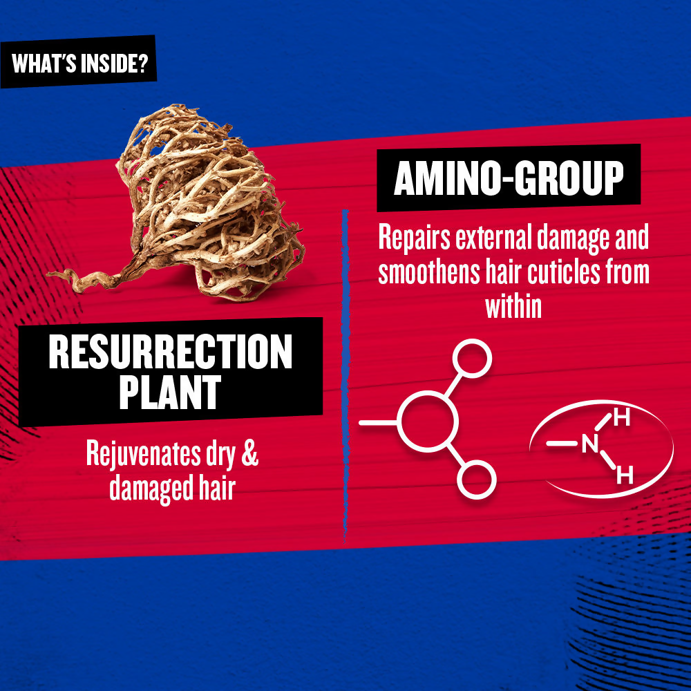 TIGI Bed Head Resurrection Super Repair Hair Conditioner