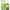 Allen Homeopathy A63 Drops