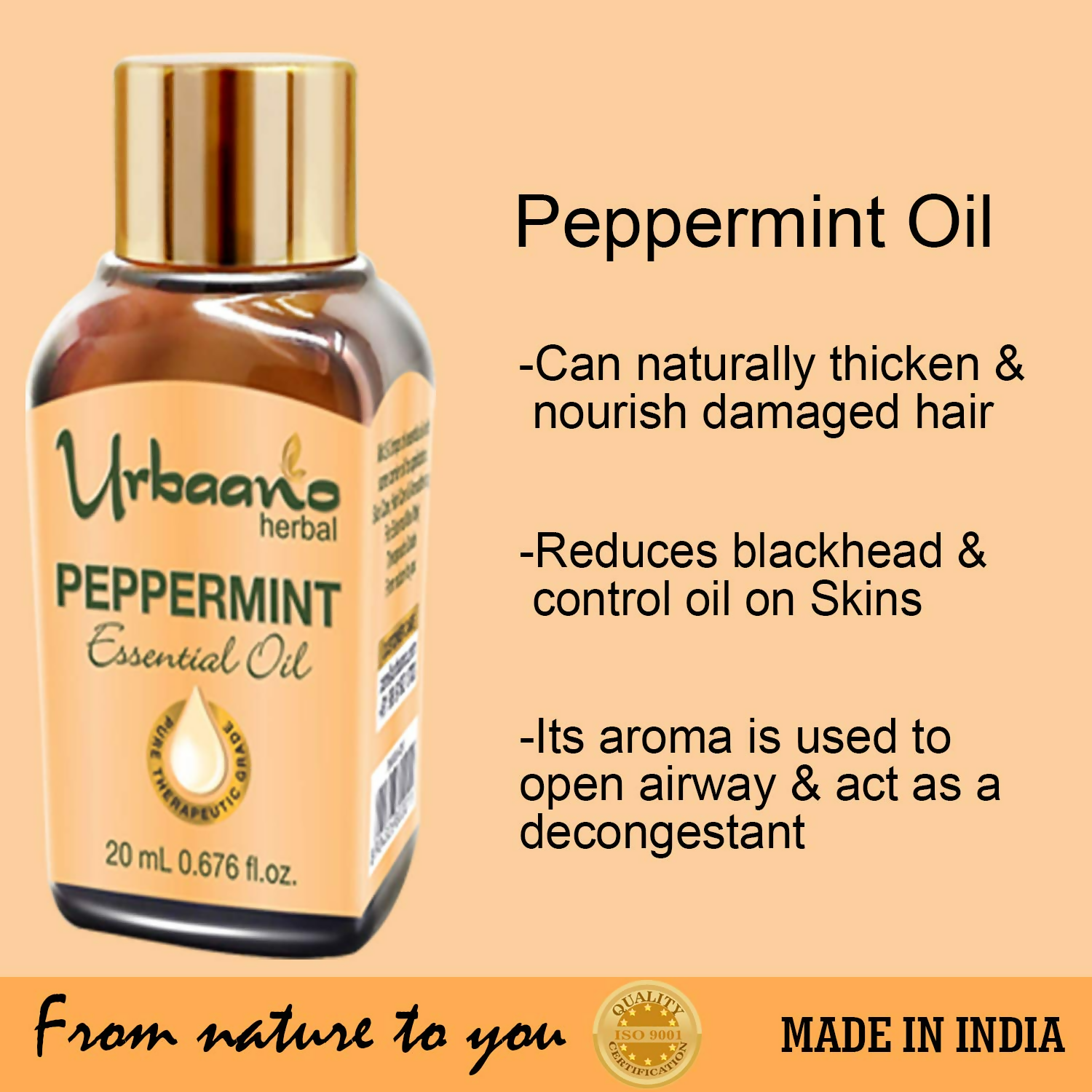 download - 2025-05-06T113445.703