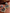flower_269-Photoroom