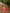 JAB24ST00783_3