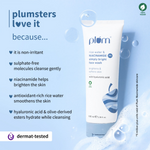 Thumbnail for 345fa16PLUMX00001034_4