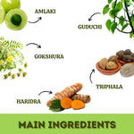 Thumbnail for Herbal Hills Ayurveda Imunohills Capsules - Distacart
