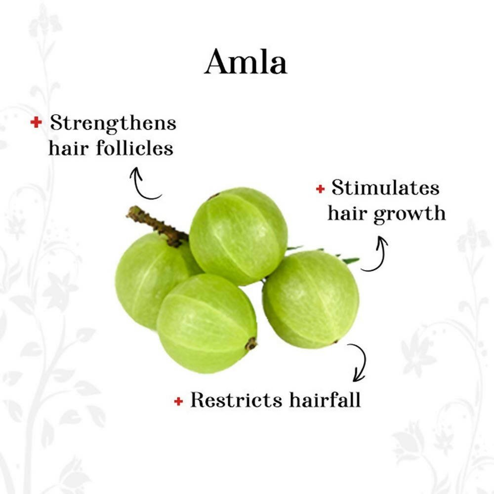 Alps Goodness Amla Reetha & Shikakai Powder - Distacart