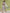 Janasya Regular Cambric White Floral Notch Neck Set - Distacart