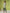 Janasya Regular Cambric Sage Embroidered Round Neck Tunic - Distacart