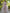 Janasya Dark Cotton Floral A-Line Dress