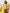 Janasya Light Dobby Cotton Embroidered Straight Kurta Set