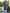 Janasya Dark Cotton Geometric Straight Kurta