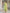 Janasya Bright Cotton Geometric A-Line Kurta Set