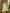 Janasya Light Cotton Floral A-Line Dress