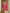 Janasya Dark Rayon Embroidered Straight Tunic
