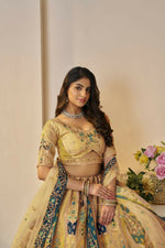 Thumbnail for KF 492 Yellow (4)