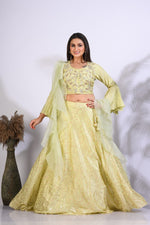 Thumbnail for Morchari Crop Top With Hand Embroidery With Frill Dupatta - Fluorescent Green - Distacart