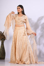 Thumbnail for Morchari Crop Top With Hand Embroidery With Frill Dupatta - Yellow - Distacart