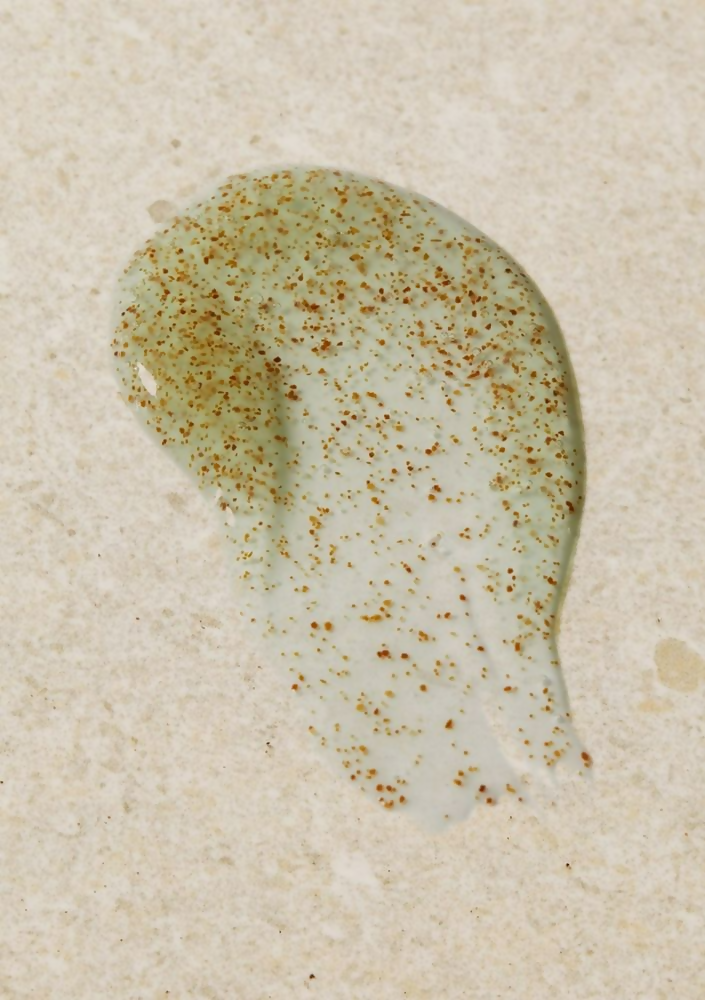 The Body Shop Seaweed Oil-Control Exfoliator - Distacart