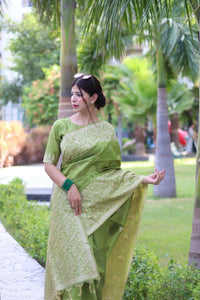 Thumbnail for Aastha Fashion Mehendi Woven Handloom Raw Silk Saree with Blouse - Distacart