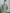 Jompers Men's Cotton Floral printed Kurta Only - Olive - Distacart