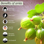 Thumbnail for download - 2024-11-11T103530.564