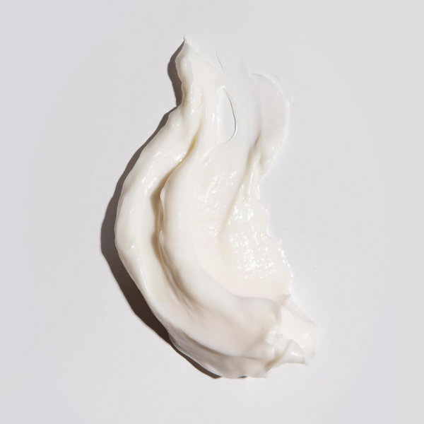 download - 2025-01-20T110537.689