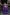 Aastha Fashion Women's Purple Faux Georgette With Heavy Sequins Embroidered work Lehenga Choli - Distacart
