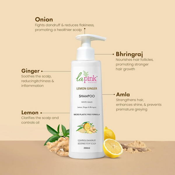 download - 2024-10-19T204051.435