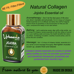 Thumbnail for download - 2025-05-07T105354.293