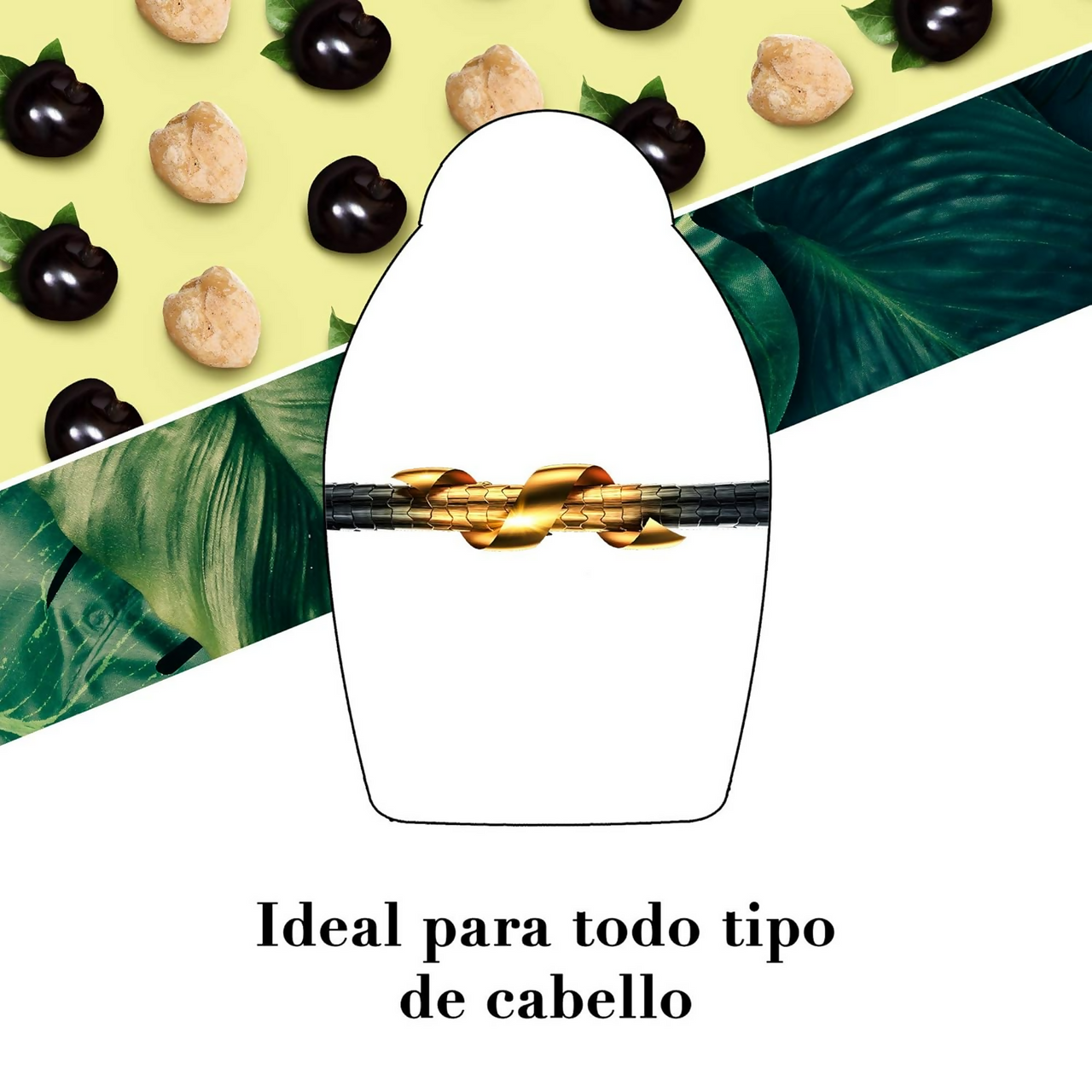 download - 2025-01-27T173205.751