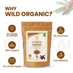 Thumbnail for download - 2024-10-24T162738.990