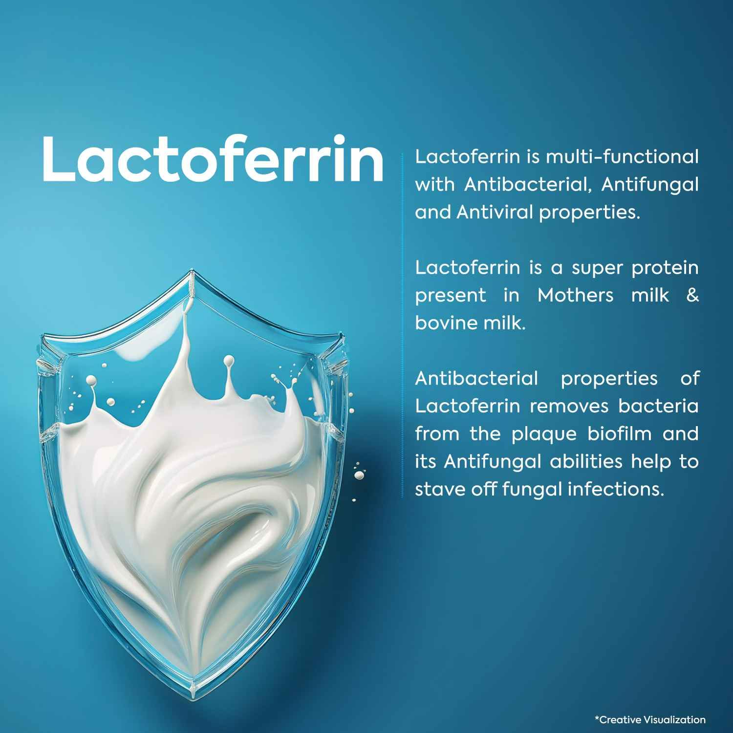 download - 2024-12-20T103026.502