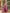 JAB24CD00460_1