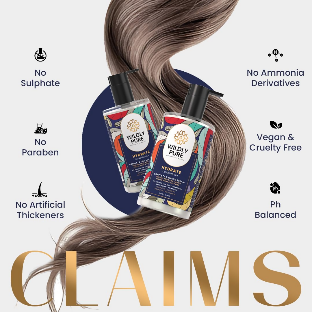 download - 2024-11-19T172955.939