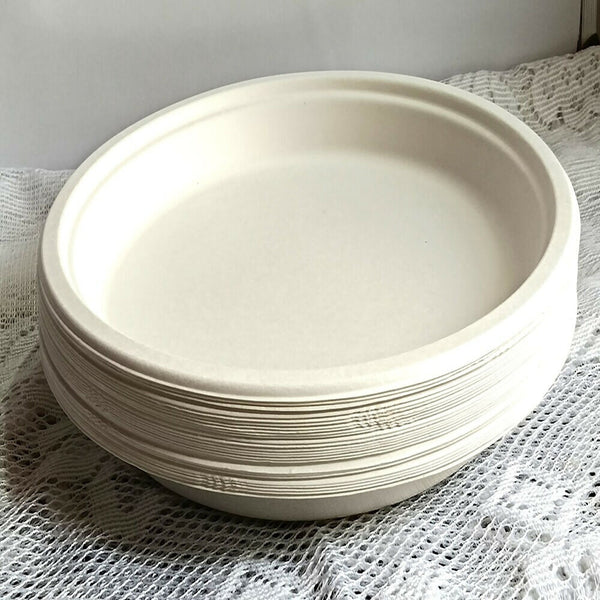 Disposable Round Plane Plates Big - Distacart