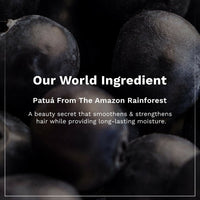 Thumbnail for Pilgrim Patua & Keratin Hair Smoothening Shampoo For Dry & Frizzy Hair - Distacart