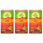 Thumbnail for Organic India Tulsi Ginger 25 Tea Bags - Distacart